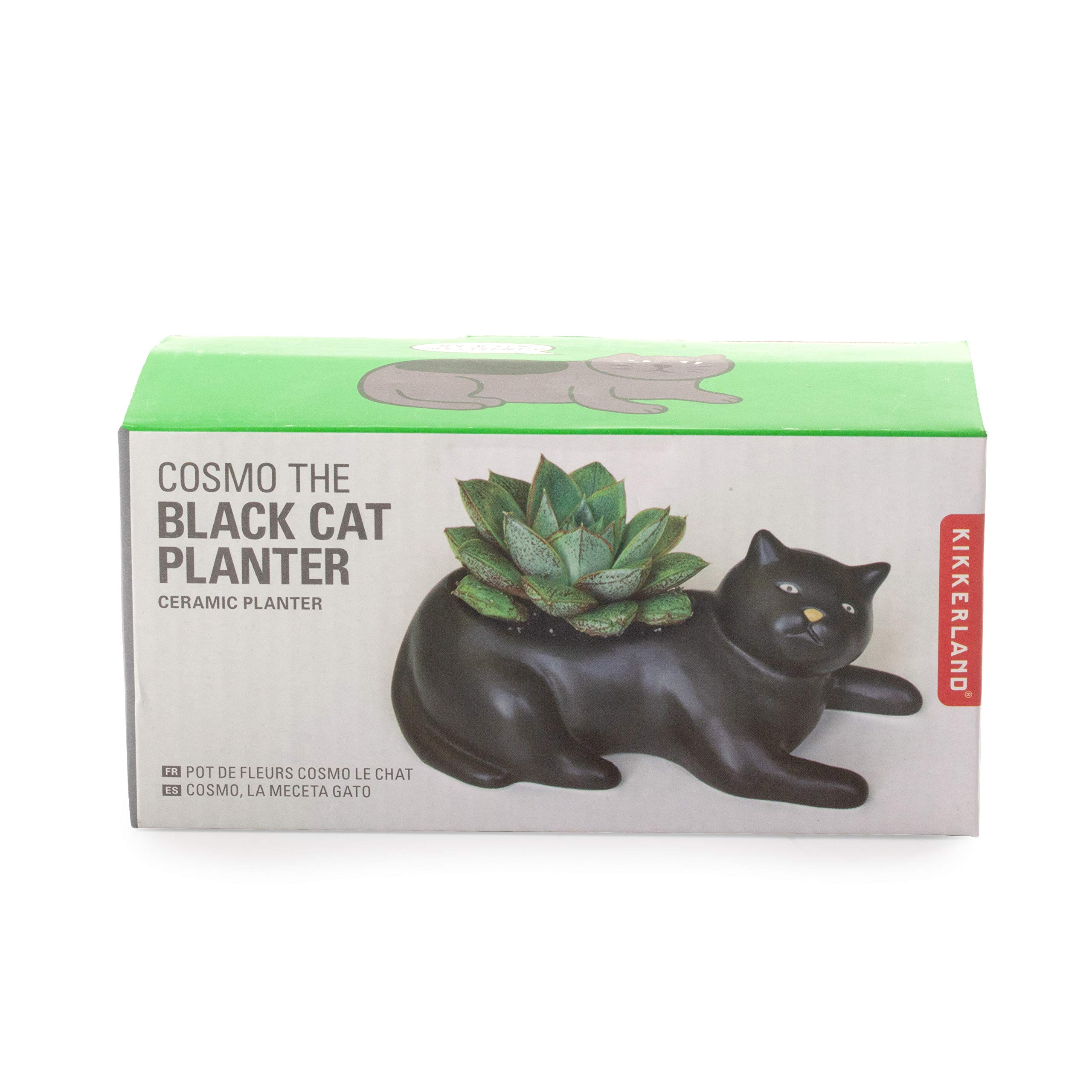 Amazon.com : Kikkerland Cosmo The Black Cat Porcelain Planter, for