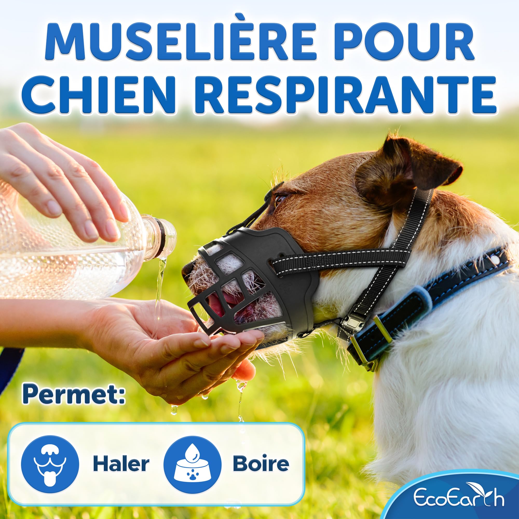 EcoEarth Muselière pour Chien - Muselière Panier Durable pour Chiens de Grande Taille - Grande, Noire - Protège-Dents réglable et Respirant pour empêcher Les morsures et Les aboiements