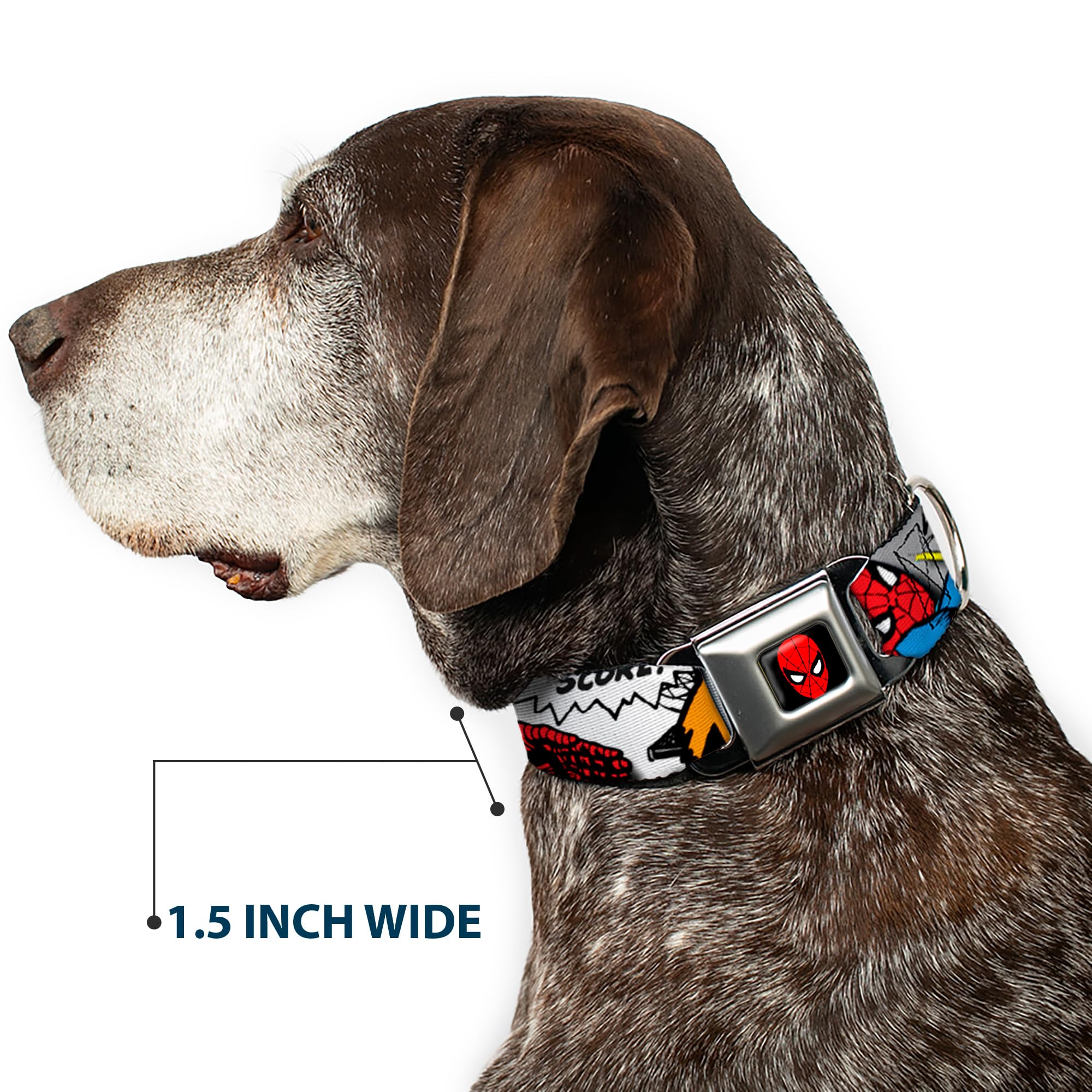 Buckle-Down DC-WSPD019-WS 33-45 cm SPDA-Spider-Man obroża dla psa, szeroka mała