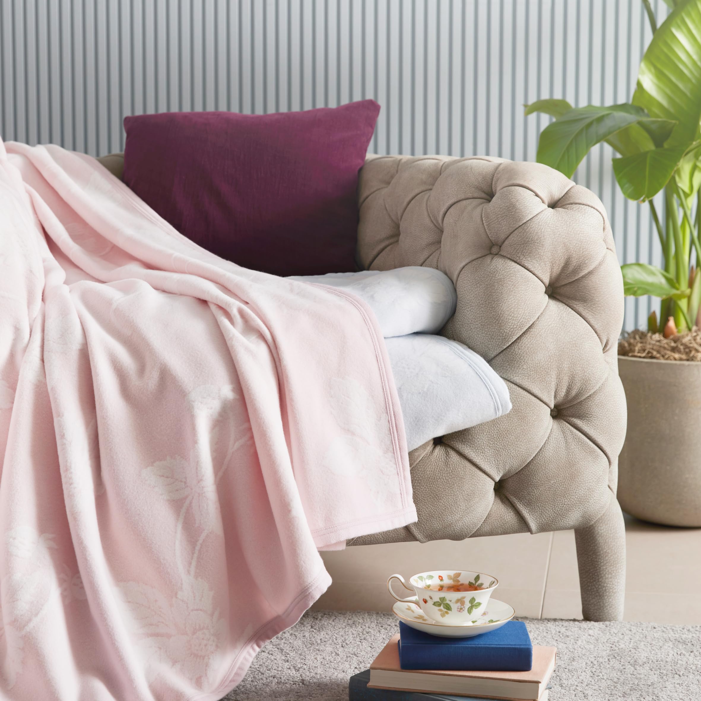 Amazon｜nishikawa 【 西川 】 綿毛布 シングル 洗える 綿100