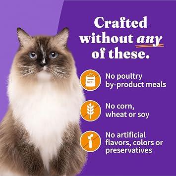 Halo Wet Cat Food Real Chicken Recipe, Grain-Free Wet Pate, Canned Cat Food for Extra Hydration, 5.5 Oz Can (Pack of 12)