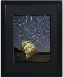 Trademark Fine Art Point Reyes II by Moises Levy in Black Matte and Black Framed Artwork, 16 by 20"