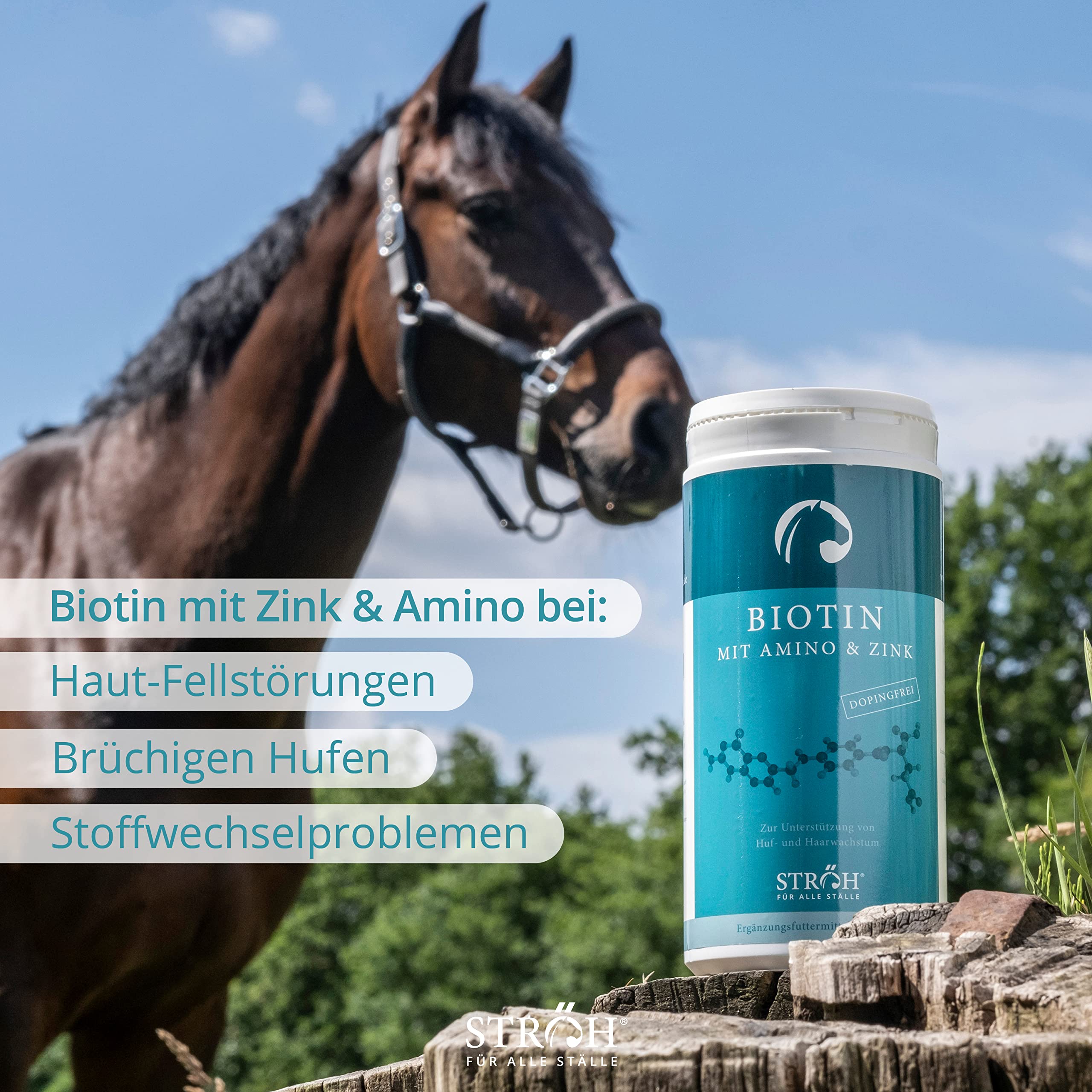 Ecom StrÖH - Biotin - 1kg Dose