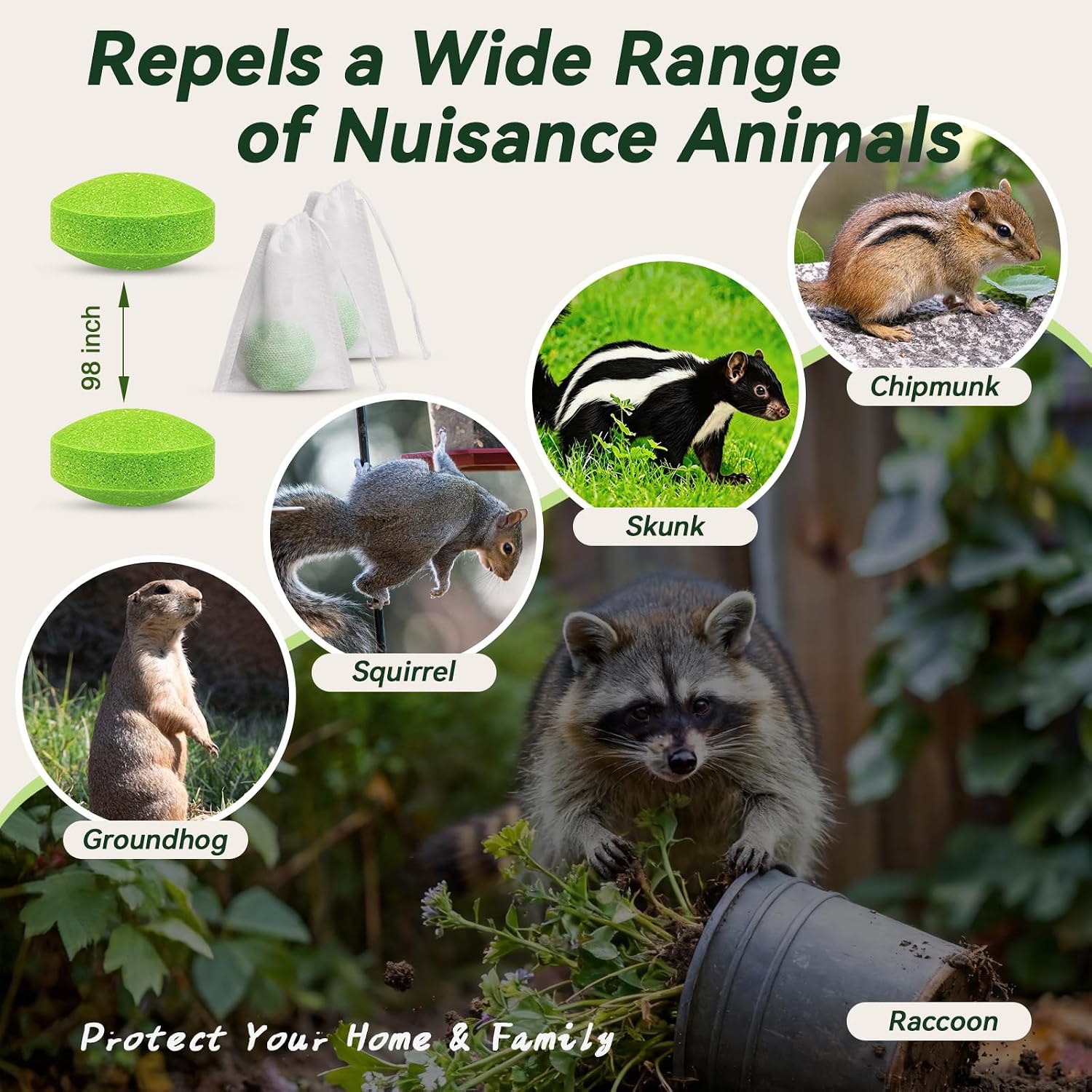 24 Pack Skunk & Raccoon Repellent & Squirrel Repellent - Peppermint Oil Squirrel Deterrent Balls Indoor & Outdoor Protection - Home & Garden Defense for Lawns, Crawl Spaces and Attics