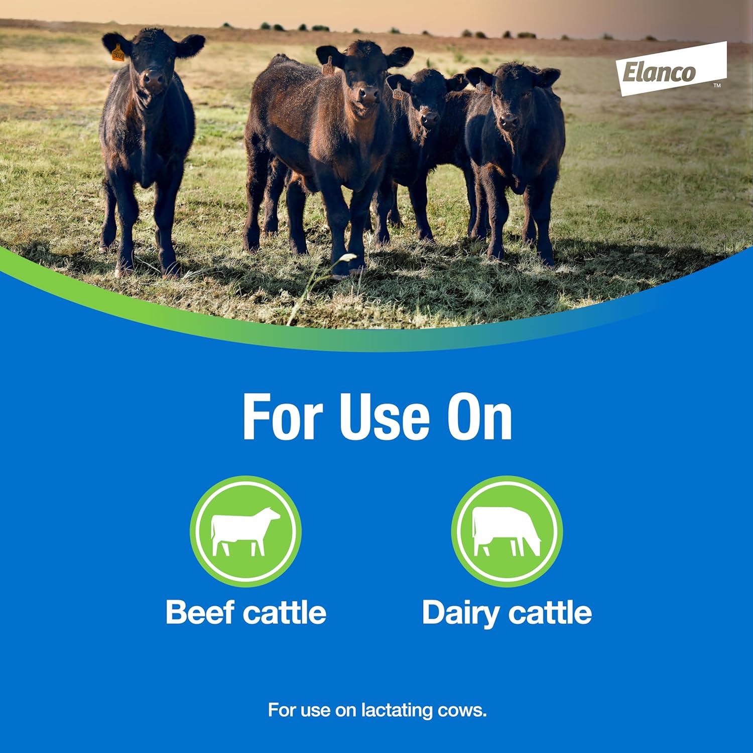 CyLence Pour-On Insecticide | Controls Flies & Lice | Ready-to-Use Solution for Beef & Dairy Cattle | 1 Pint