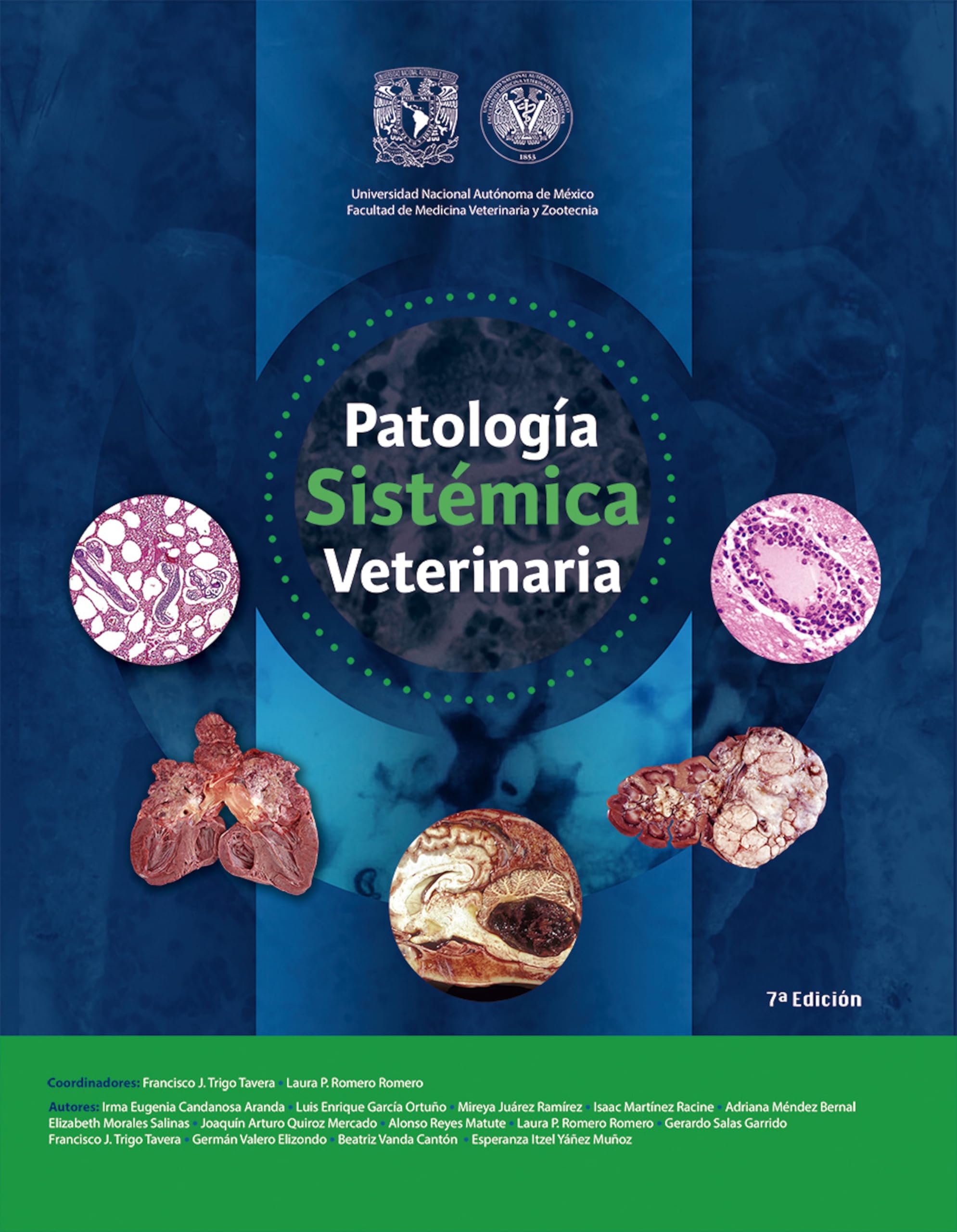 Patología sistémica veterinaria (Spanish Edition)