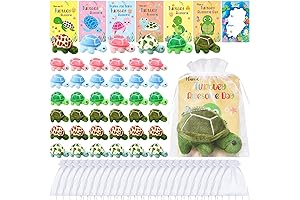 Shappy Bulk Turtle Token of Appreciation Gifts | You're Turtley Awesome