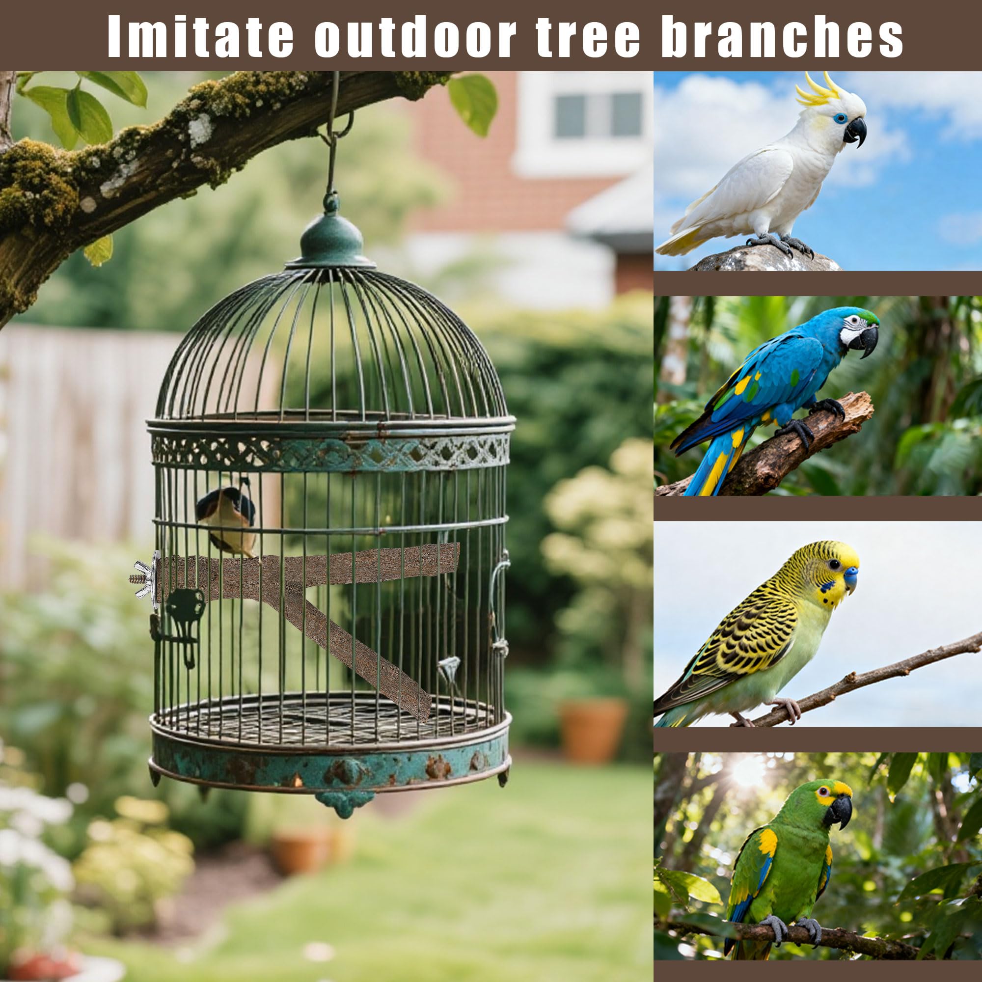 Juego de 8 perchas para pájaros, percas rectas y bifurcadas de madera de abedul natural con plataformas para periquitos, cacatúas, conures, tortolitos, accesorios de jaula para escalada y