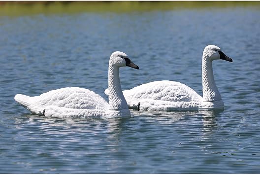 Higdon Outdoors Floating and Field Full-Size Tundra Swan Decoy Pair for Waterfowl and Ornamental Water Garden, Pond and Landscape Decoration Plus Pest Deterrent