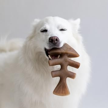 Benebone Fishbone Durable Dog Chew Toy for Aggressive Chewers, Real Fish, Made in USA, Large & Wishbone Durable Dog Chew Toy for Aggressive Chewers, Real Peanut, Made in USA, Large