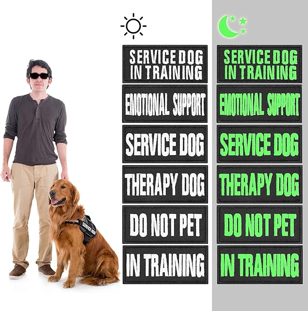 Molain Luminous Dog Vest Patches, 6 Pcs Removable Dog Harness Patches with Hook, Custom Name Patch - Service Dog, In Training, Service Dog In Training, Therapy Dog, Emotional Support, Do Not Pet