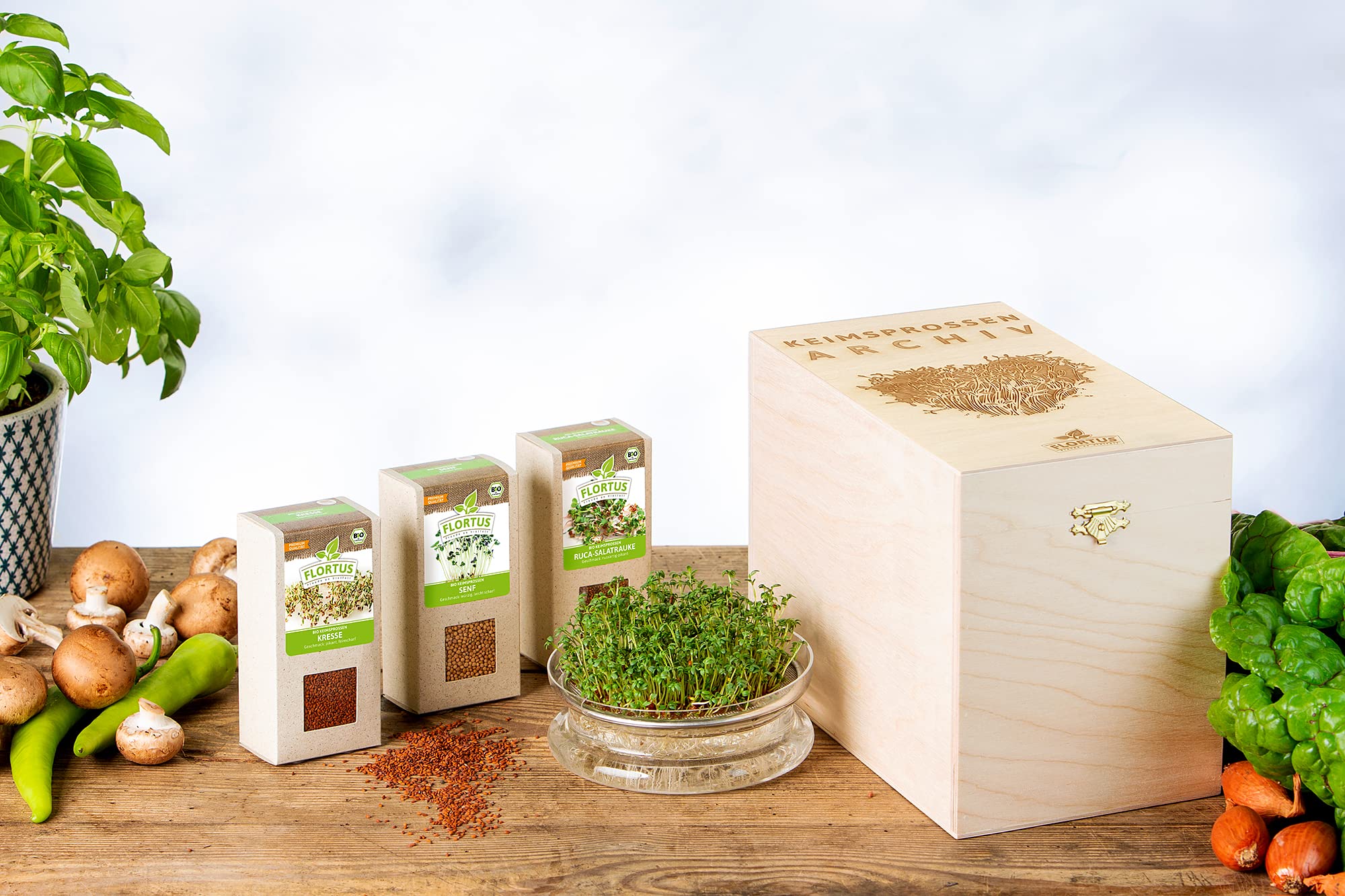 FLORTUS BIO Keimsprossen Archiv Geschenkbox Lieblingssprossen - inkl. 3 Sprossen Sorten & Keimschale aus Glas | Kresse, Senf & Rucola | Geschenkset mit Keimgerät, Microgreens & Sprossen Samen