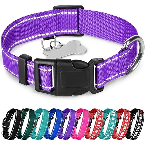 TECEUM Reflective Pet Collar – Violet – S – Basic Nylon Dog Collar – Quick Release Buckle – Fits Small, Medium and Large Dogs, Puppies, Cats – ESA & Service Dog Options