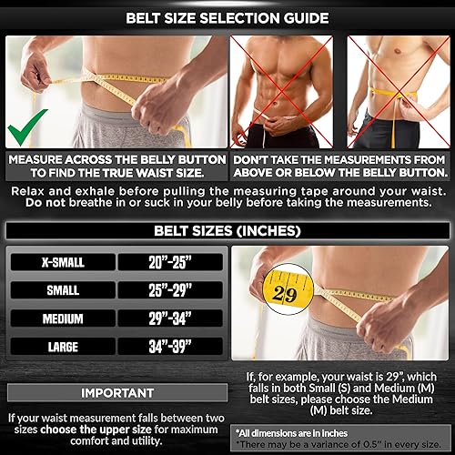 Miniatura 4 de RDX Cinturón de levantamiento de pesas para mujer de 6.5 pulgadas, soporte lumbar acolchado curvado para la espalda, entrenamiento de fuerza física,