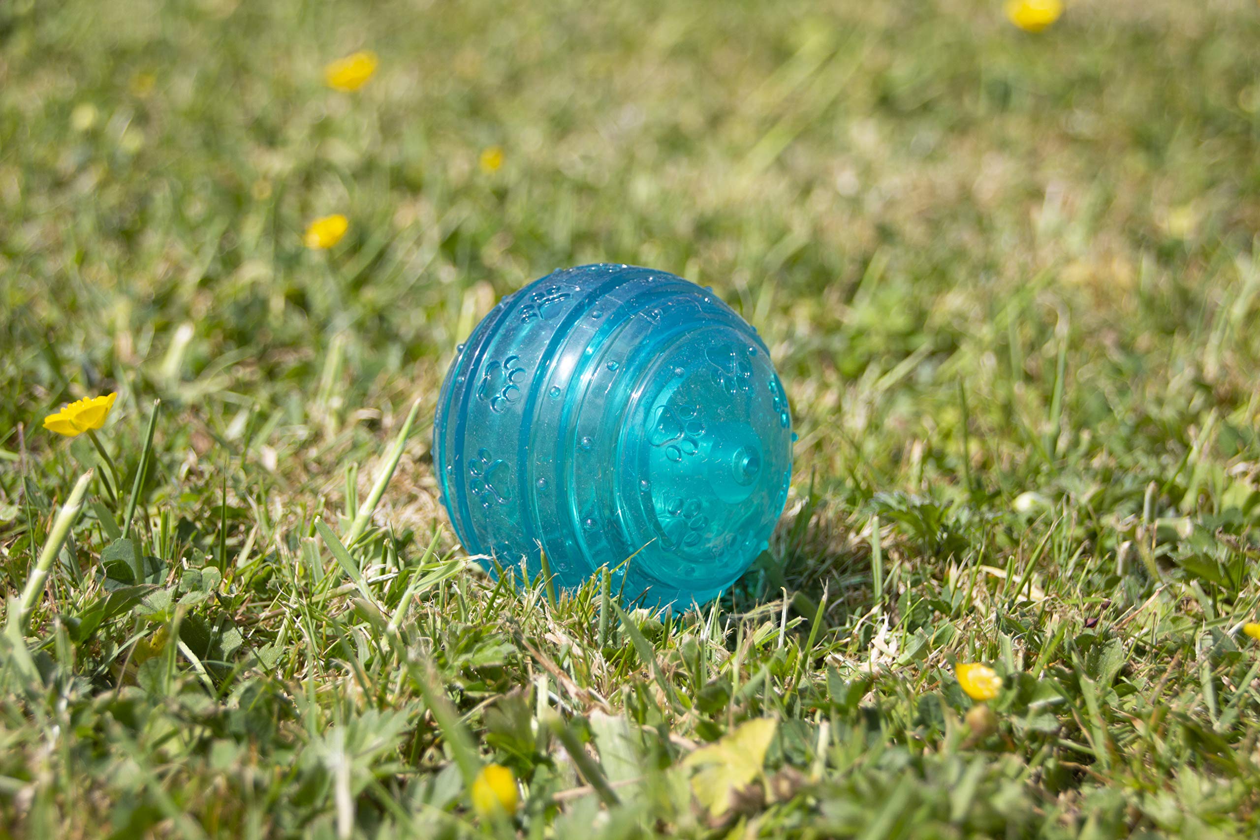 Rosewood BioSafe Blue Ball zabawka dla psa – higieniczna i pływająca zabawka do żucia, pachnąca miętą, powłoka BioCote zabija 99,99% zarazków, wspomaga zdrowie zębów, idealna dla wszystkich ras psów