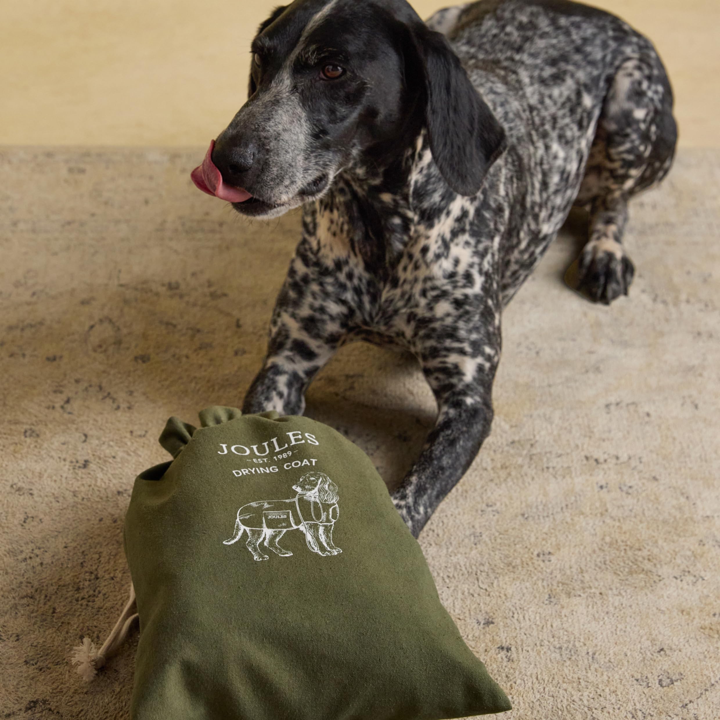 Rosewood x Joules Khaki Trockenmantel für Hunde, Medium - saugfähiger Handtuchmantel für nasse Hunde mit Aufbewahrungstasche, schnell trocknend, weich, Leichter Haustier-Bademantel