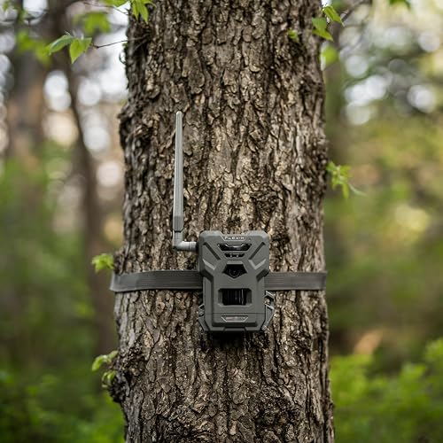 Spypoint Flex-M - Caméra de Surveillance cellulaire – Un Accessoire Indispensable pour Le repérage. sans Wi-FI, avec Vision Nocturne, détection de Mouvement, Photos 28 MP et vidéos 720p avec Son - 2