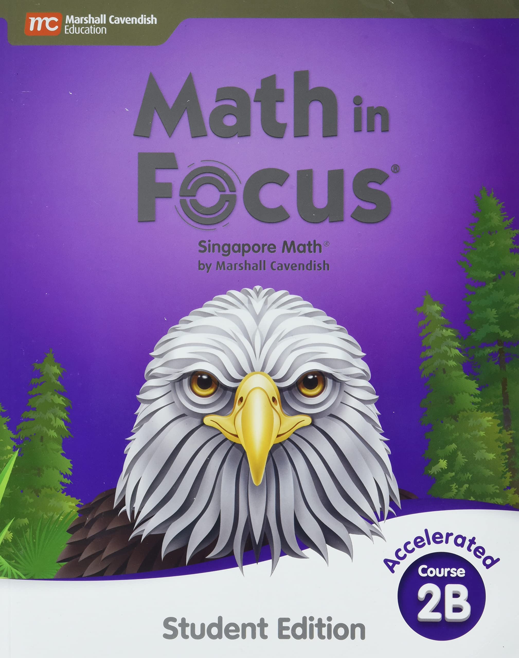 Student Edition Volume B Accelerated 2020 (Math in Focus)