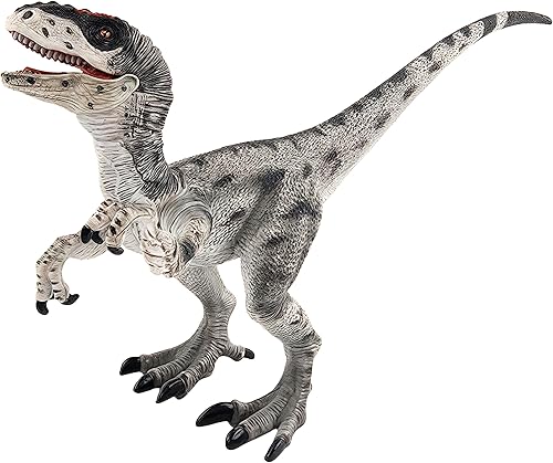 Figura de velociraptor de juguete de dinosaurio con mandíbula y manos móviles, figura de acción de Raptor con detalle de regalo y colección Dinos