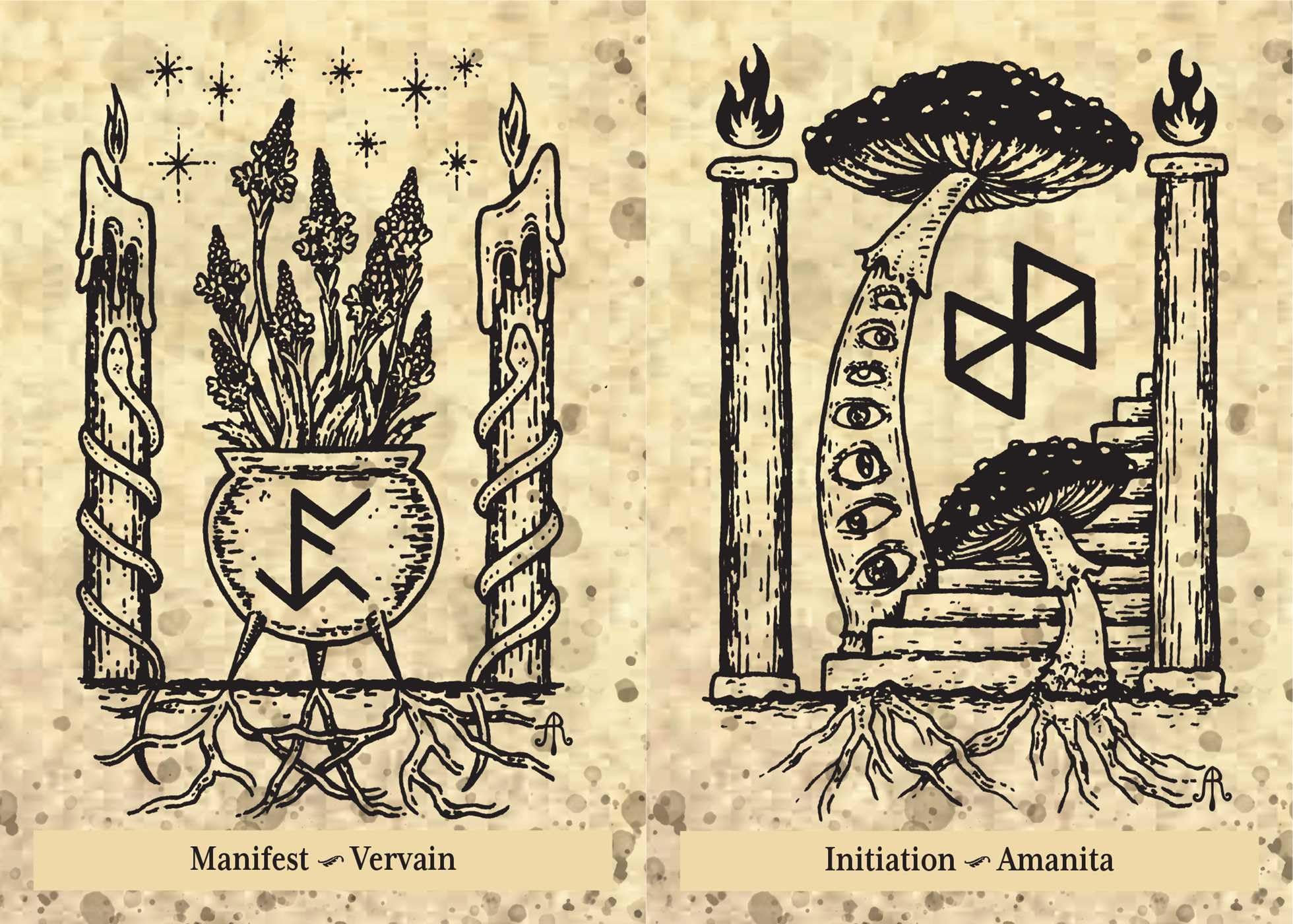The Runes and Roots Oracle: A 36-Card Deck and Guidebook