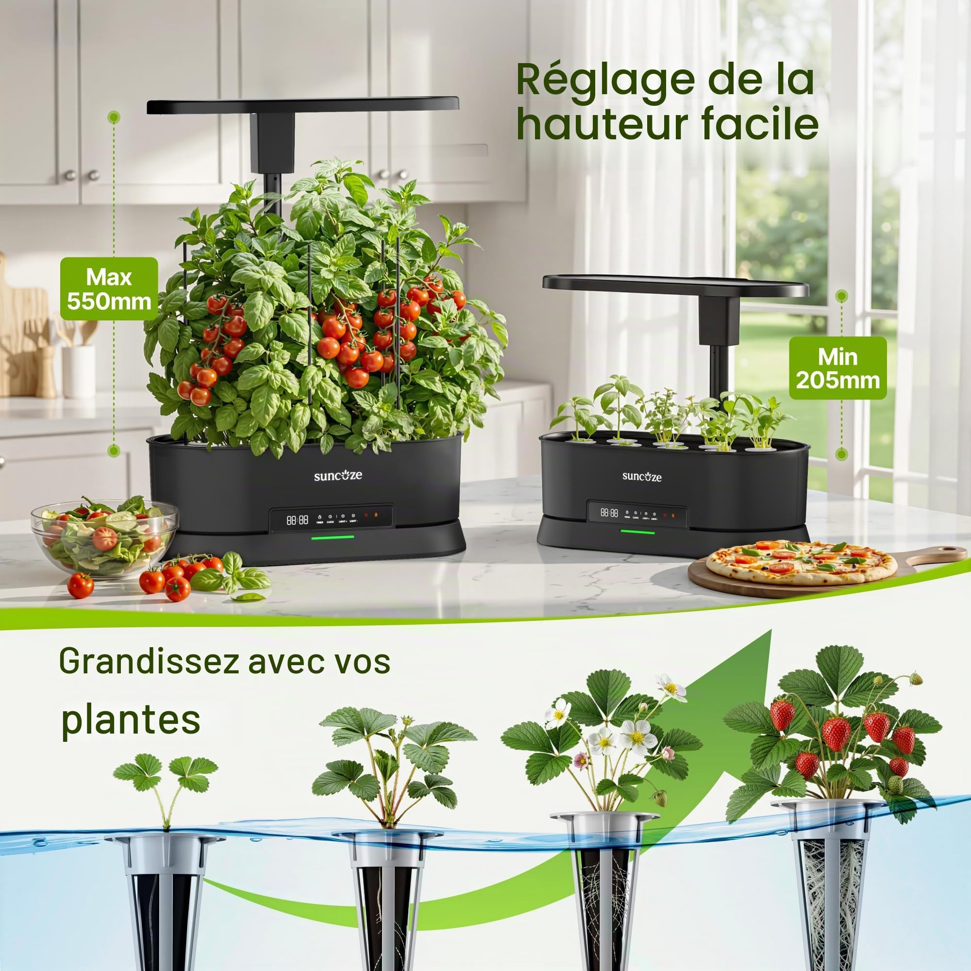PEGZONE SUNCOZE Potager Hydroponique Amovible avec 12 Paniers, Noir | Jardin d'Intérieur avec Lampe LED 36W, Réservoir 5L, Hauteur Réglable jusqu'à 550 mm, Kit Hydroponique avec Minuterie