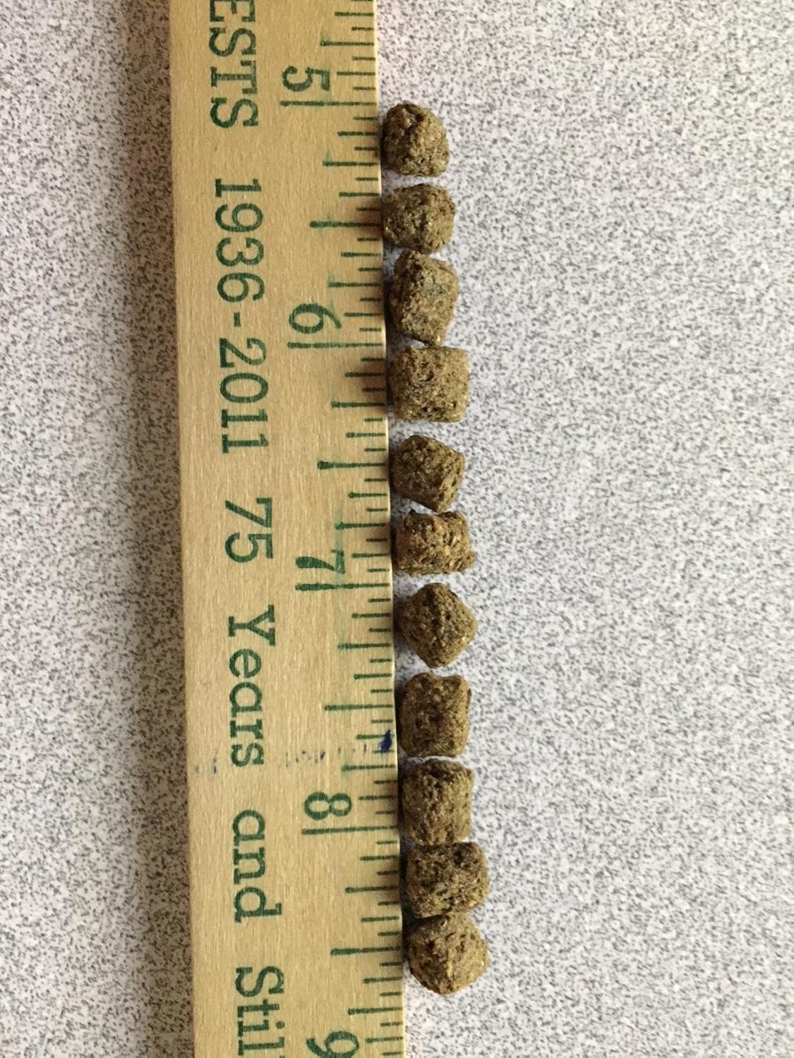 Aquatic Turtle Feed (20) Bulk …