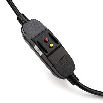 Dewalt 15-Amp GFCI Power Station with Detachable Work Light and Cord Minder Kit, 8 Standard 3-Prong Outlets, 2 USB Ports