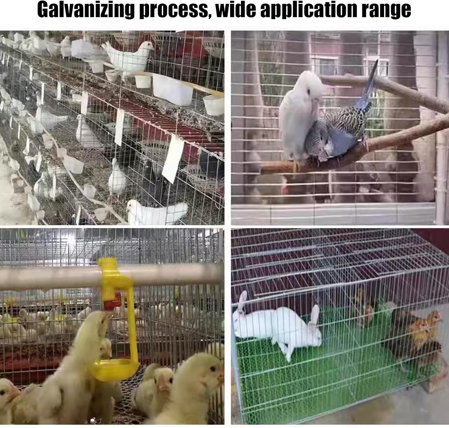 Chicken Wire, Hardware Cloth, Welded Wire Fence, Stainless Steel Wire Mesh, Mesh Roll for Garden, Chicken Coop Poultry Netting Easy to Cut(1mx1m(39inx3.2ft))