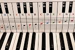 QMG Piano & Keyboard Note Chart – Visual Reference Guide – Easy Setup – Fits Medium to Full Size Pianos – Covers Four Octaves – Designed & Printed in USA