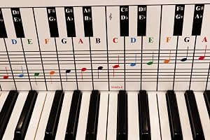QMG Piano & Keyboard Note Chart – Visual Reference Guide – Easy Setup – Fits Medium to Full Size Pianos – Covers Four Octaves – Designed & Printed in USA