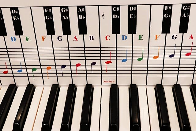 QMG Piano & Tableau des notes du clavier – Guide de référence visuelle – Configuration facile – Convient aux pianos de taille moyenne à pleine – Couvre quatre Octaves – Conçu & Imprimé en USA