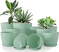 Vista 28 de Utopia Home - Macetas de Interior con Drenaje - Macetas de Flores de 7/6.6/6/5.3/4.8 Pulgadas para Plantas de Interior - Juego de 5 Macetas