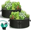 2-Pack Heavy Duty 50 Gallon Grow Bags - Reinforced Handles, Weatherproof, Extra Large, Breathable Fabric Garden Bed Plant Pots