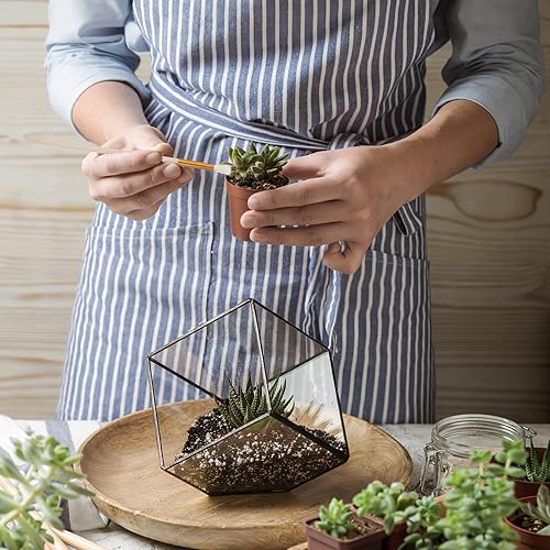 Miniatura 7 de Angoily 8 Uds. Herramientas de mano de tiza artificial, bolígrafos polinizadores, herramientas de cepillo de polinización de mano, cepillo