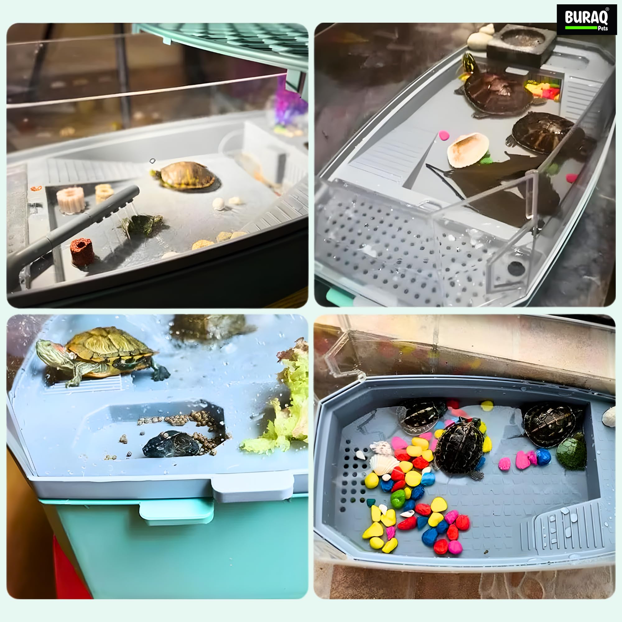Buraq Pets Turtle Tank with Filter & Basking Area for Small Turtles 4