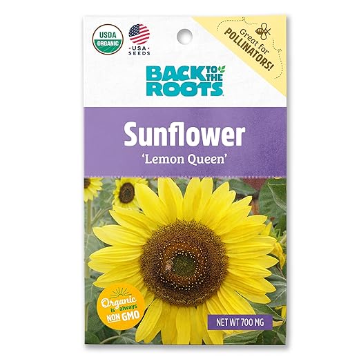 Back to the Roots 100% Organic Seed Packet - Sunflower 'Lemon Queen' 700mg