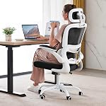 TRALT Office Chair Ergonomic Desk Chair, 330 LBS Home Mesh Office Desk Chairs with Wheels, Comfortable Gaming Chair, High Back Office Chair for Long Hours, Office Chair for Study and Work (Black)