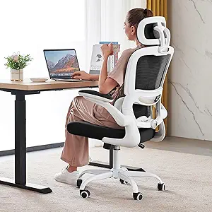 TRALT Office Chair Ergonomic Desk Chair, 330 LBS Home Mesh Office Desk Chairs with Wheels, Comfortable Gaming Chair, High Back Office Chair for Long Hours (Black & White)