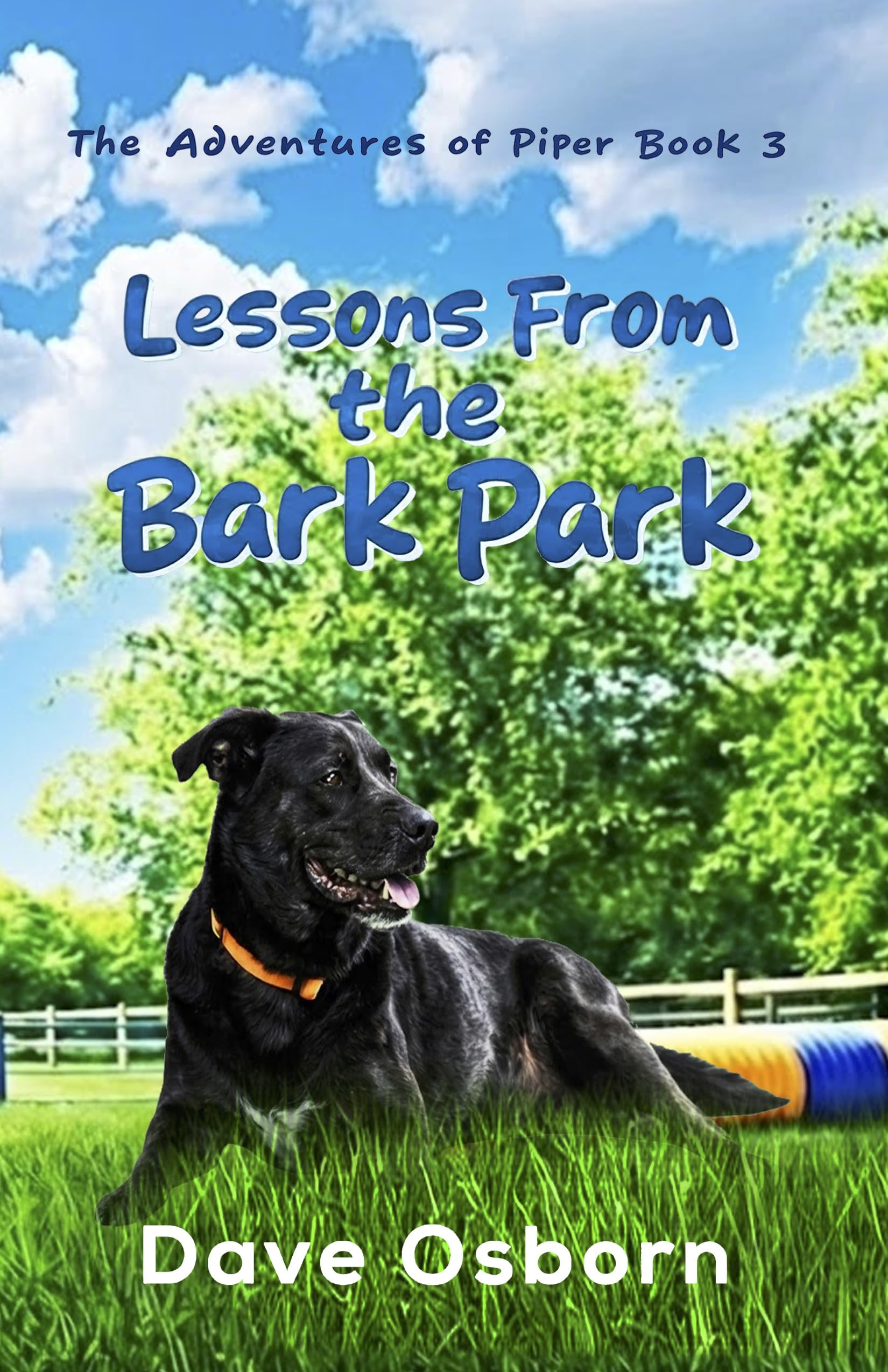 Lessons from the Bark Park (The Adventures of Piper Book 3)