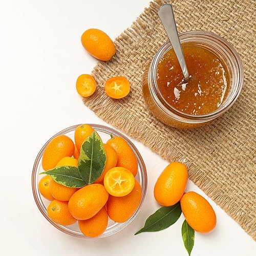 Miniatura 4 de Birch & Meadow Polvo de ácido málico, potenciador del sabor, caramelos ácidos (2 libras)