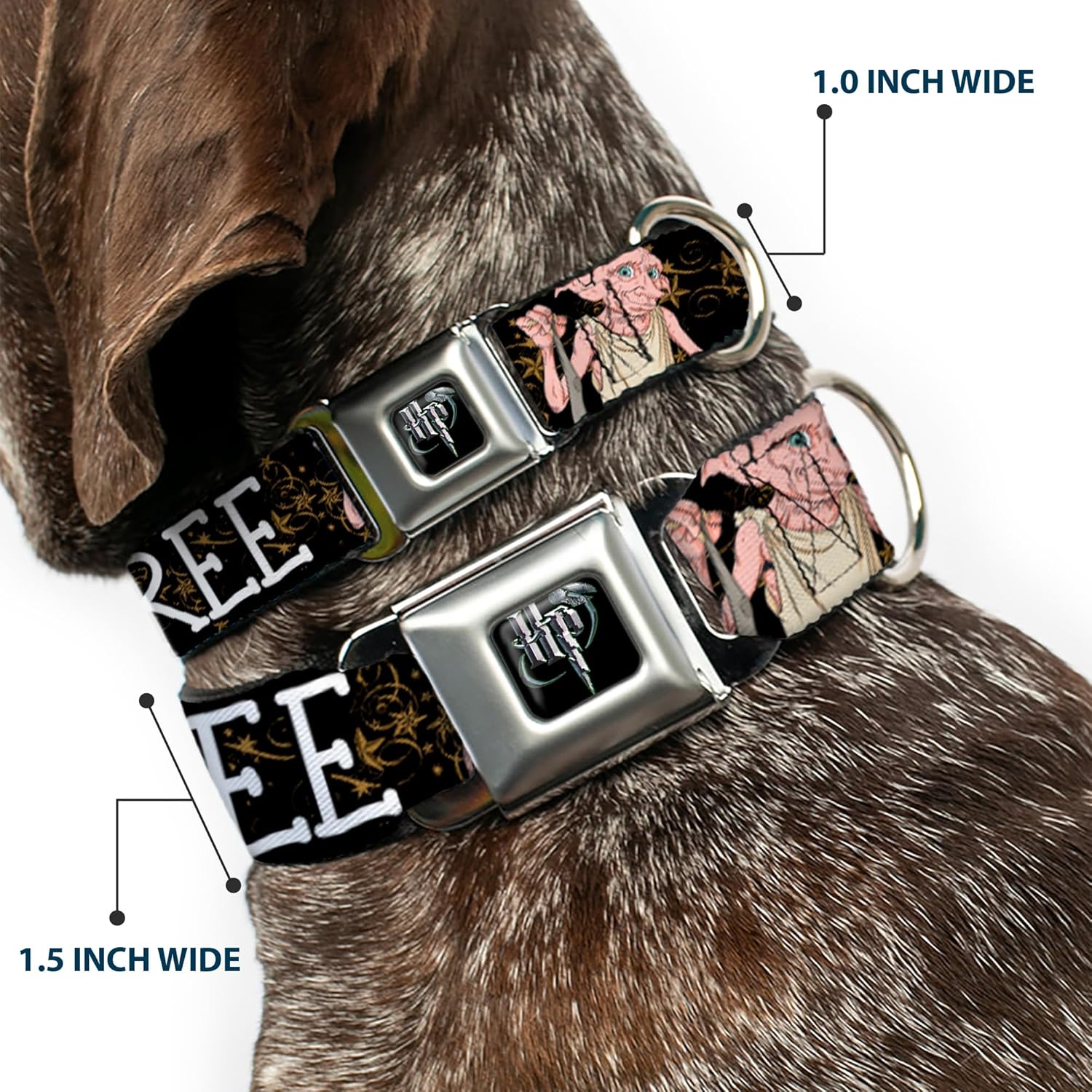 Warner Bros. Pet Collar, Dog Collar Metal Seatbelt Buckle, Dobby is Free 3 Dobby Poses Star Swirls Black Gold White, 13 to 17 Inches 1.5 Inch Wide