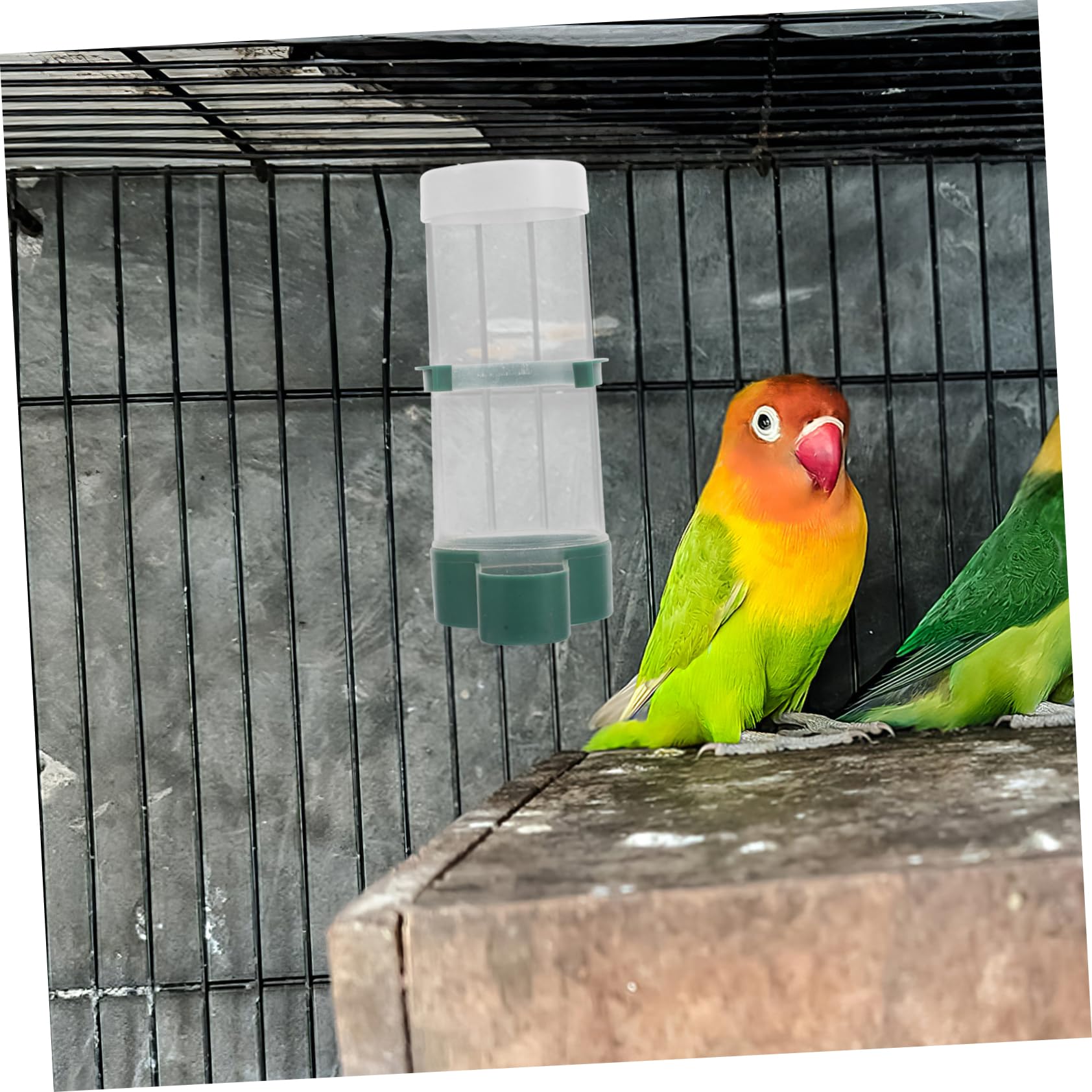 BESPORTBLE 20stücke Automatischer Futterspender Für Vögel Vogelkäfigzubehör Toplader-Design Ausgewogene Fütterung Vogelfreundlich Geeignet Für Papageien Sittiche Kanarienvögel
