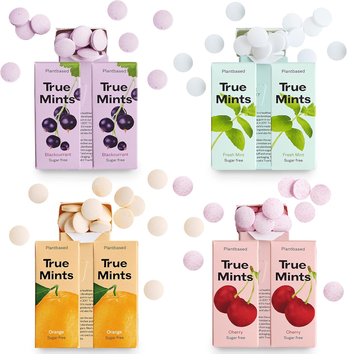 True Mints Mixed Flavours (12pack) Sugar Free Mints Xylitol Mints