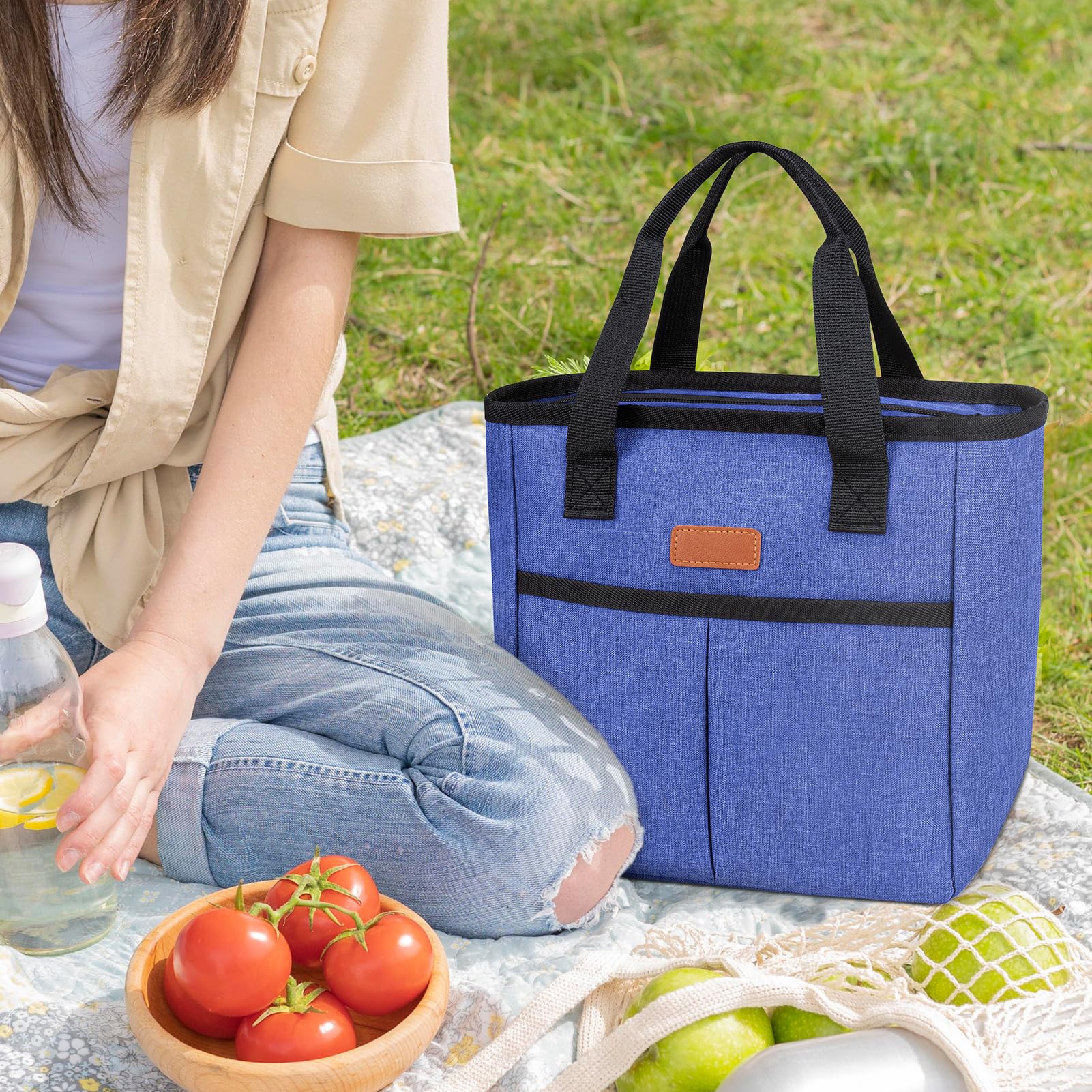 Small Insulated Lunch Bags Leakproof Lunch Box Bag for Women Men Adult Reusable Thermal Lunch Tote Cooler Bag