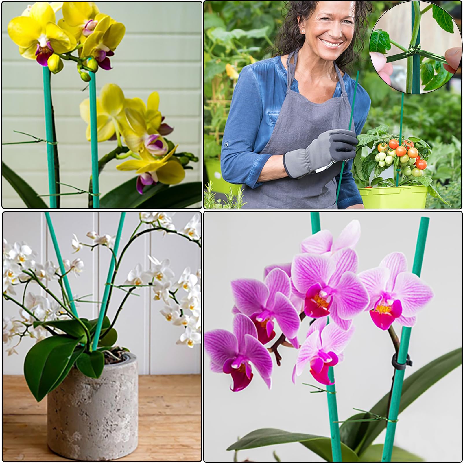 DeJivsin 50 Stck Pflanzstbe 30 cm, Flower Sticks, Pflanzen sttze, mit 50  Stck Metallischen Bindebndern, Pflanzenstab Grne, Orchideen Stbe fr ...