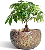 Vista 10 de Macetas de Cerámica Thirtypot - Maceta de 4 Pulgadas con Agujero de Drenaje, Macetas Pequeñas para Plantas de Interior y Exterior, Maceta Redonda