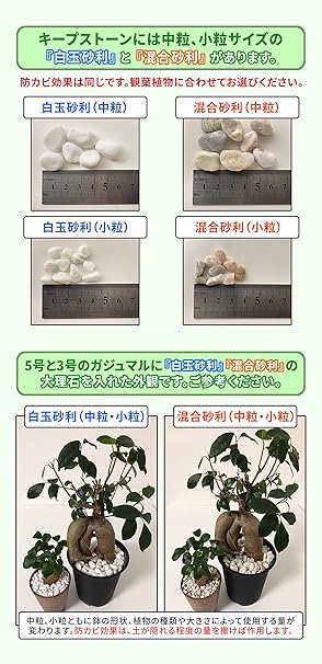 Amazon Co Jp 植物 観葉植物用 化粧石 防カビ加工済み大理石 キープストーン 白玉砂利 中粒 800g 白 大理石の化粧砂利 カビ 防止 K S800w Diy 工具 ガーデン Amazon Co Jp 植物 観葉植物用 化粧石 防カビ加工済み大理石 キープストーン 白玉砂利 中粒 800g 白 大理石の化粧砂利 カビ 防止 K S800w Diy 工具 ガーデン