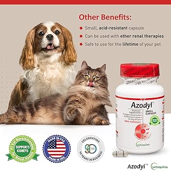 Amazon.com : Vetoquinol Azodyl Kidney Health Supplement for