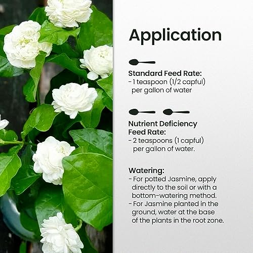 Miniatura 8 de Fertilizante de jazmín de 32 onzas para plantas de jazmín vivo, hace 192 galones de alimento para plantas de interior para plantas de interior,