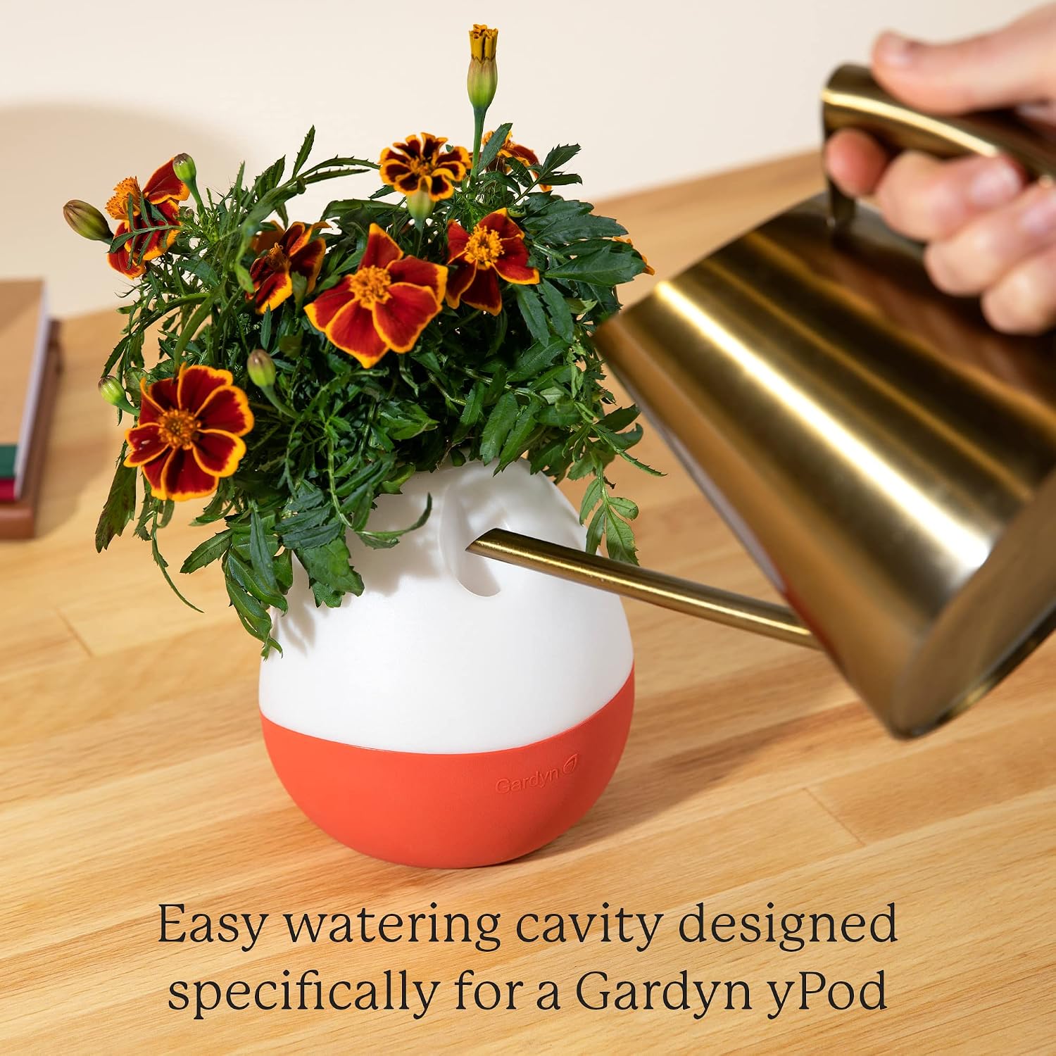 Gardyn Vase Complete Kit - Sage Green | Designed for use with Gardyn Hydroponics Growing System Kits & Vertical Garden Hydroponic Gardens | Bring Gardyn’s Indoor Plants to All Areas of Your Home